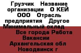 Грузчик › Название организации ­ О’КЕЙ, ООО › Отрасль предприятия ­ Другое › Минимальный оклад ­ 25 533 - Все города Работа » Вакансии   . Архангельская обл.,Новодвинск г.